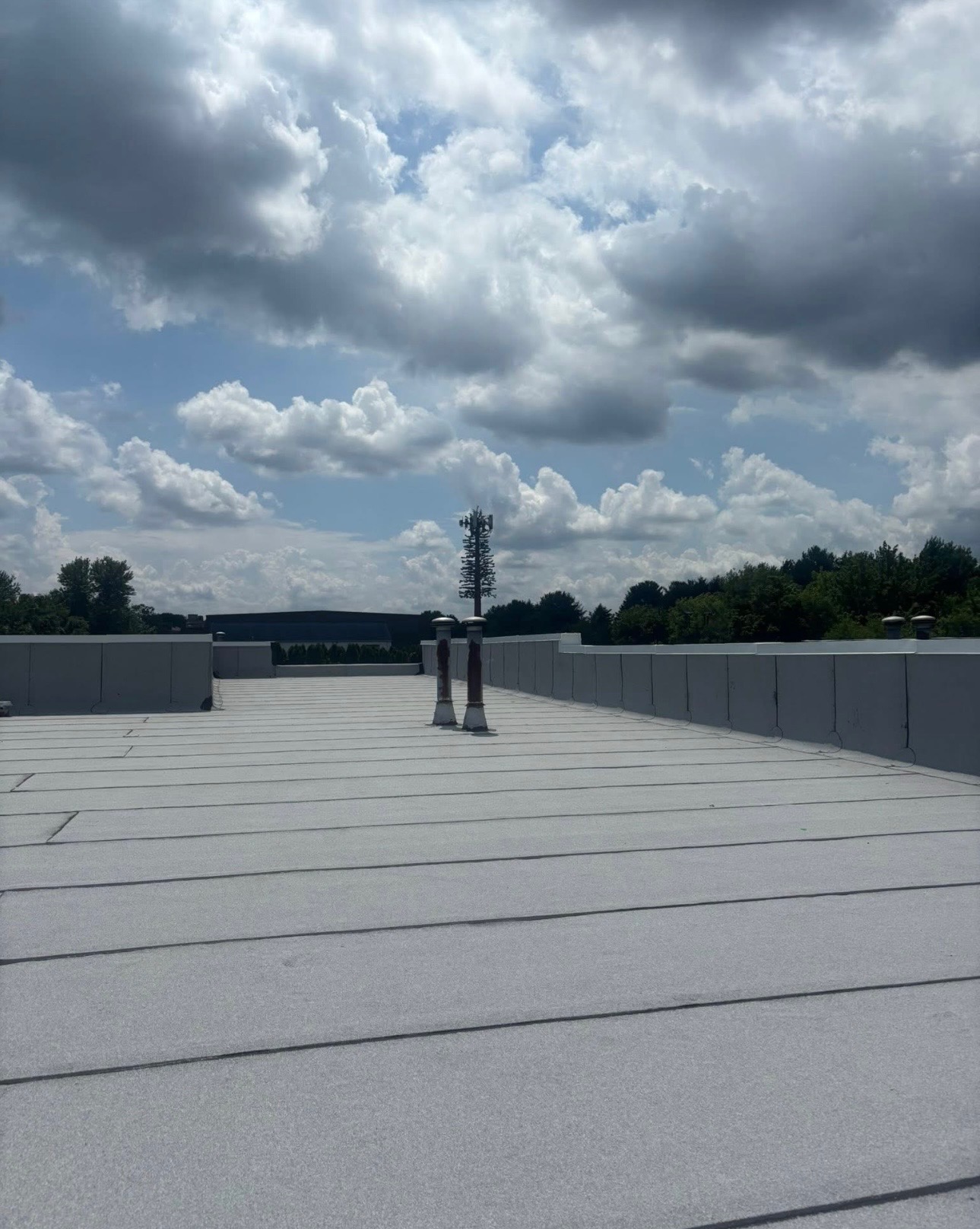 Commercial Flat Roof